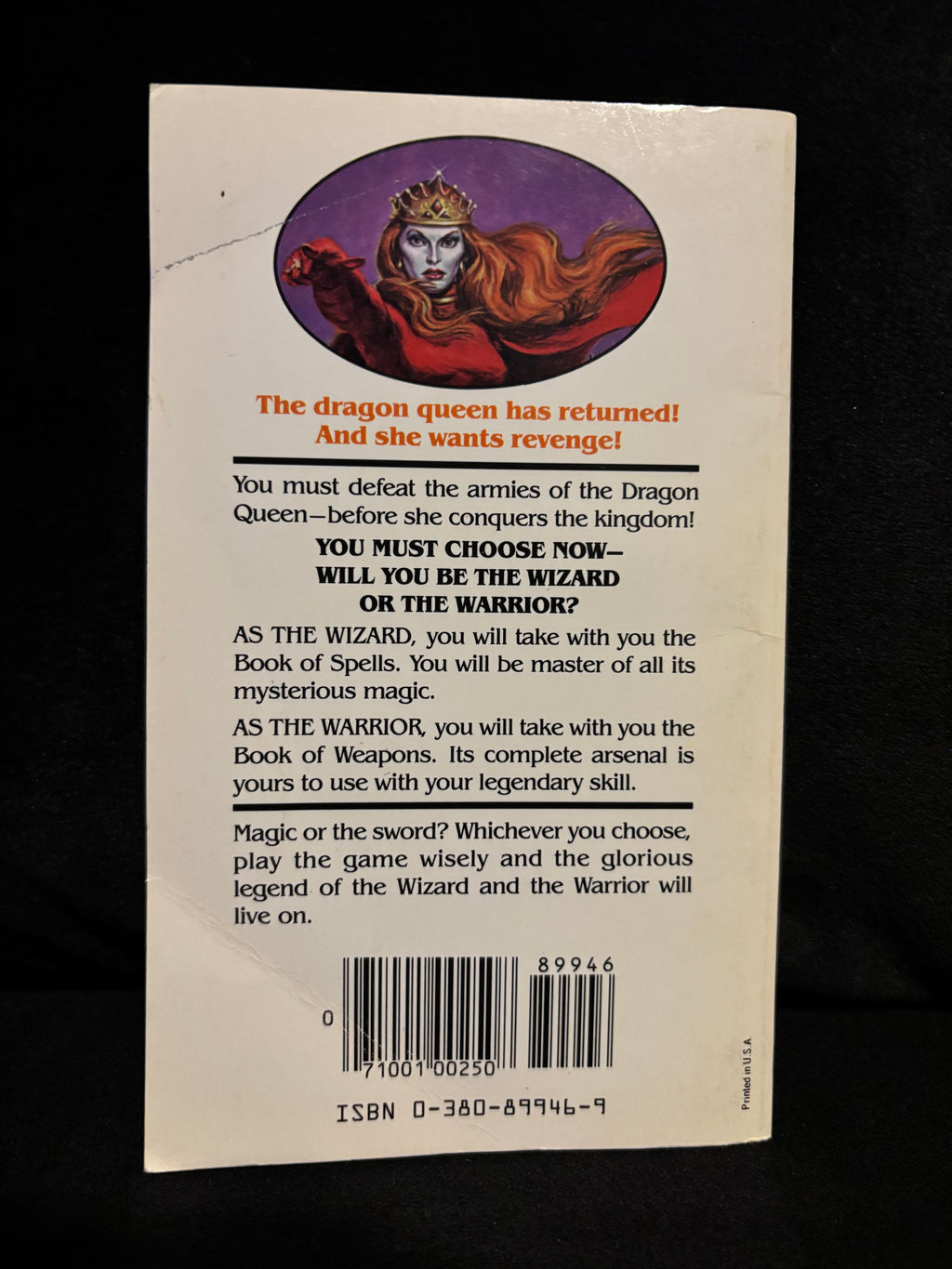 Wizards Warriors & You: The Dragon Queen's Revenge - Book #9