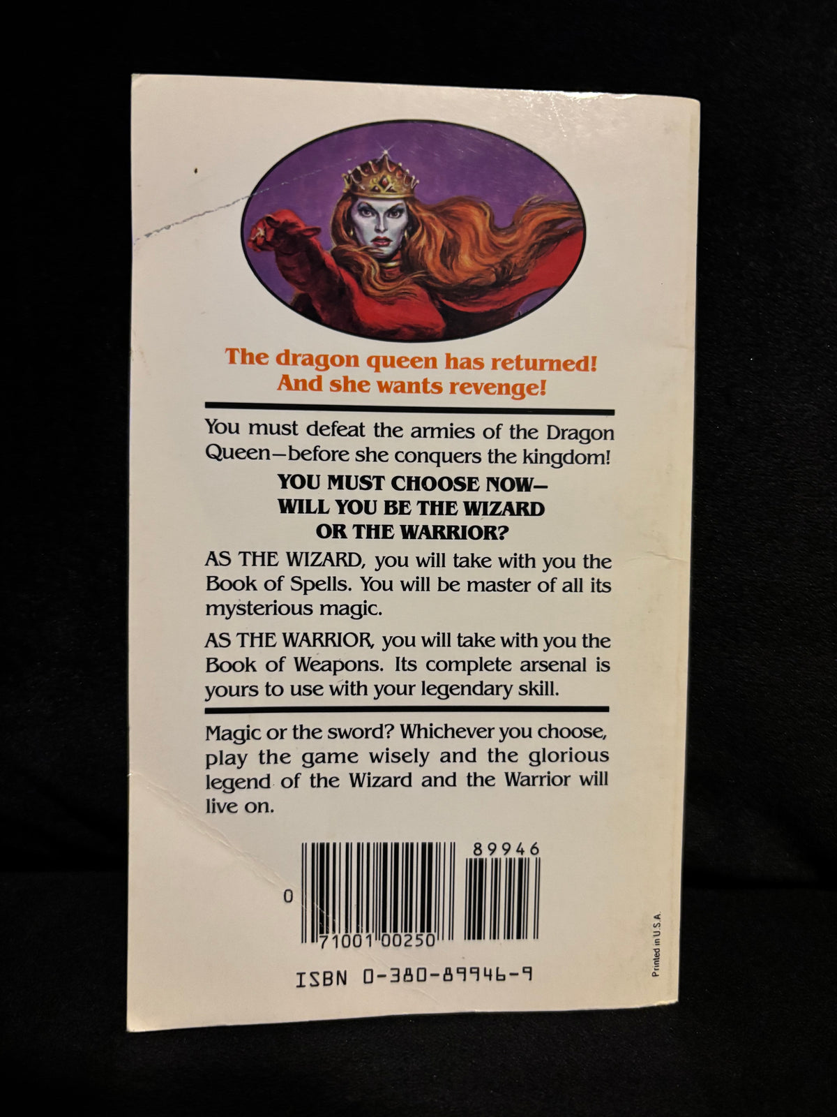 Wizards Warriors & You: The Dragon Queen's Revenge - Book #9
